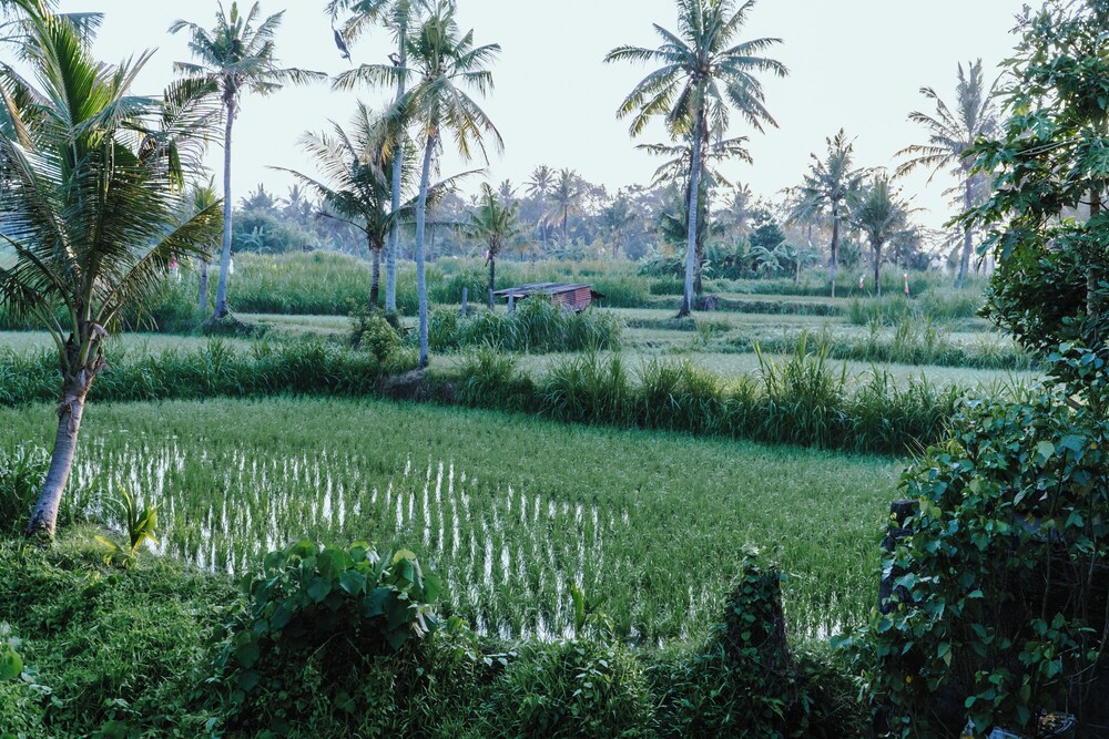 Alam Bulangan Villa