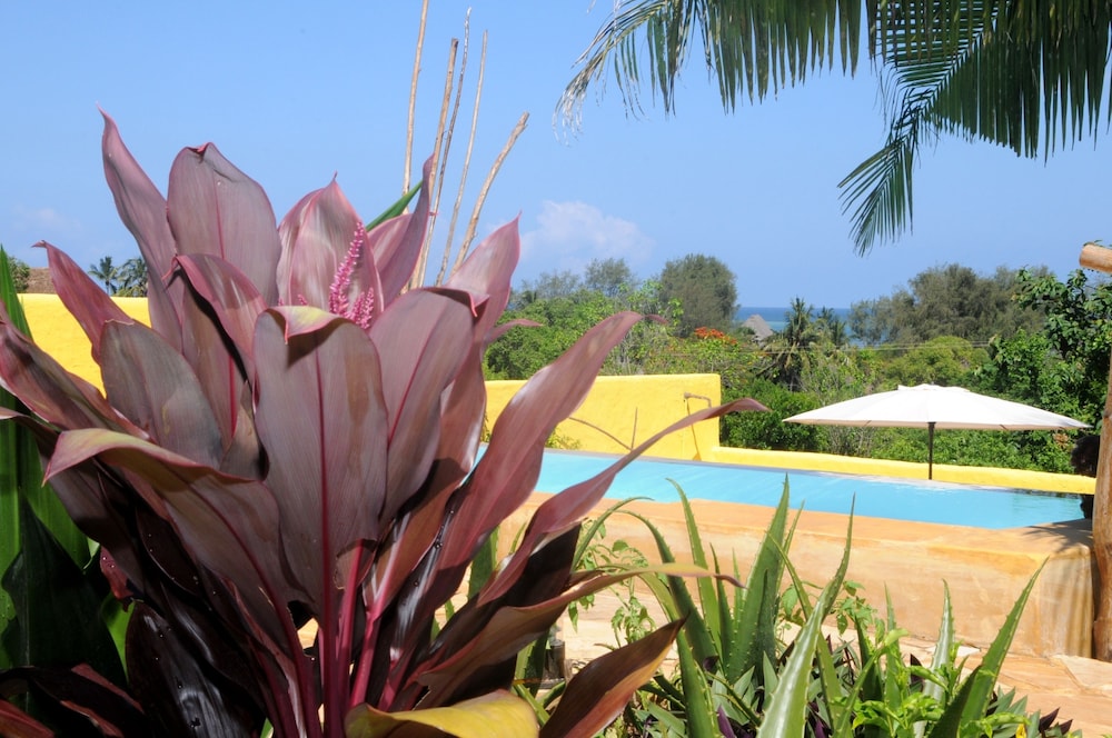 Kiwengwa Vacations - Maisha Marefu Apartments - Property Image 76