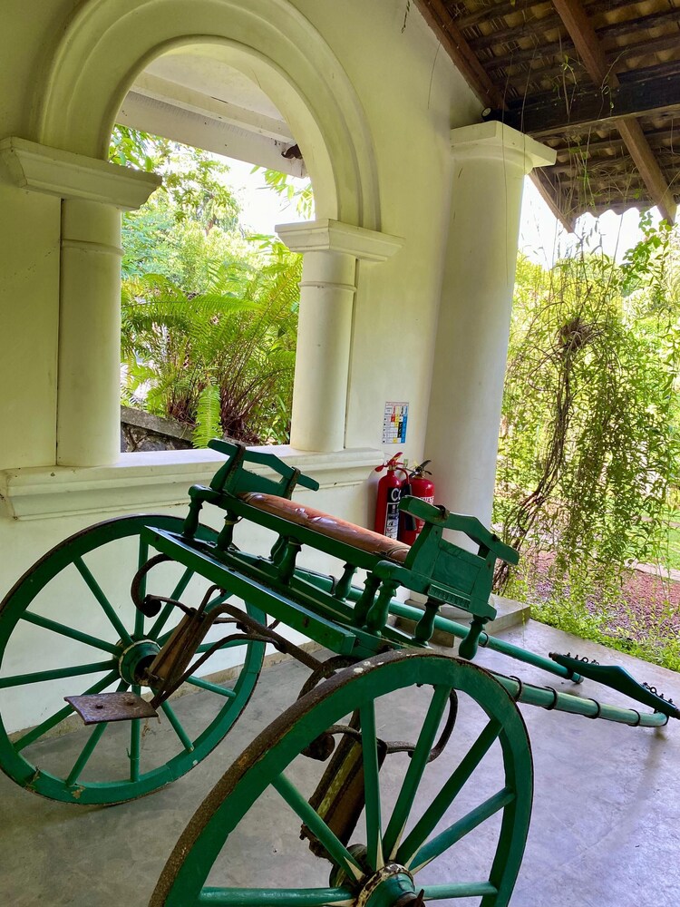 The Nature Palace Villa