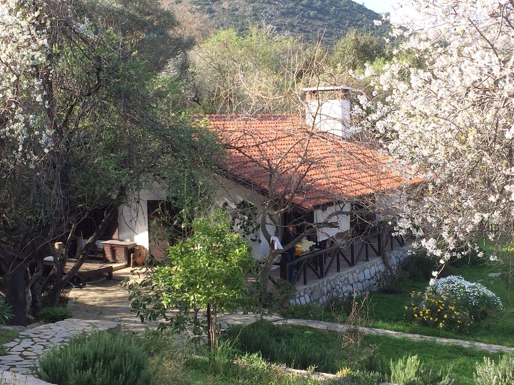 Selimiye Houses
