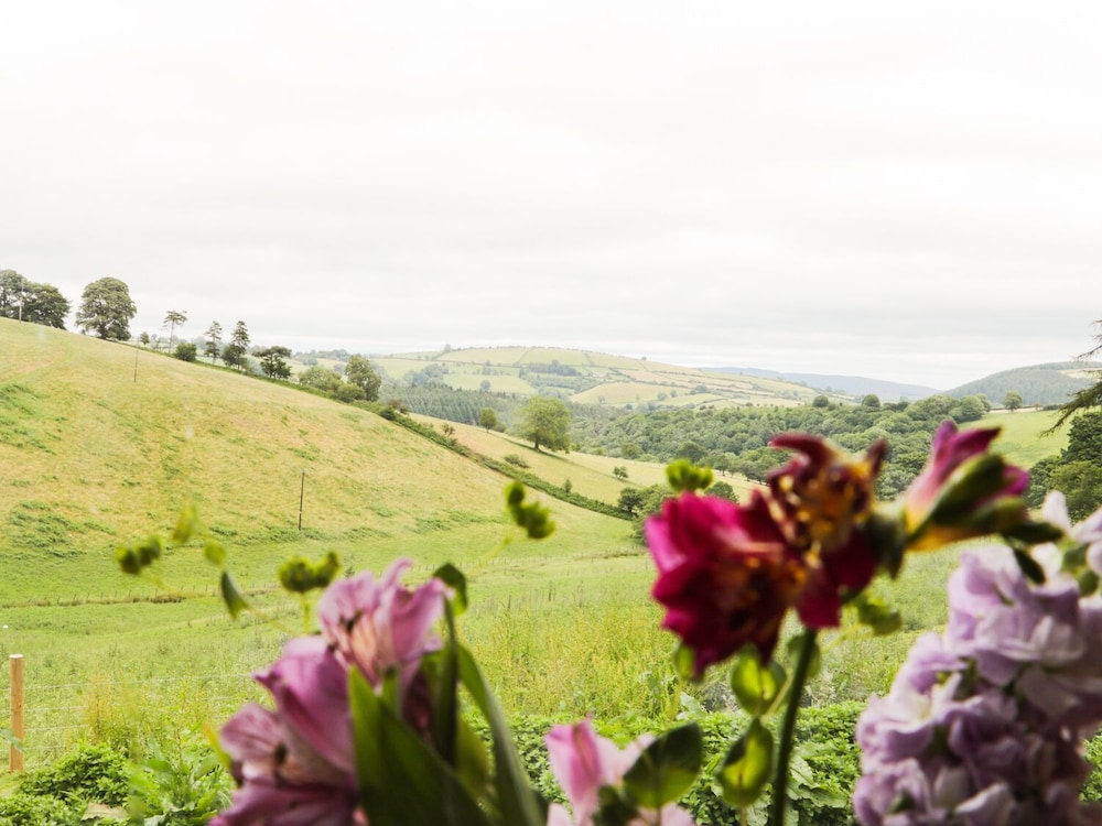 Rolling Hills