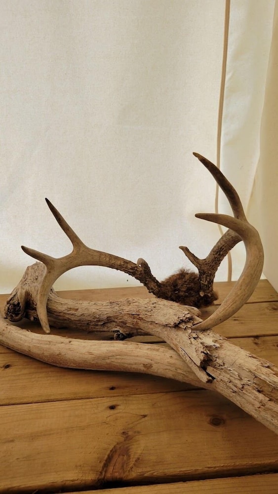 Haida Gwaii Glamping Co.