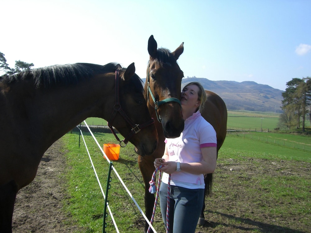 Tigh an Each B&B & Laggan Glamping