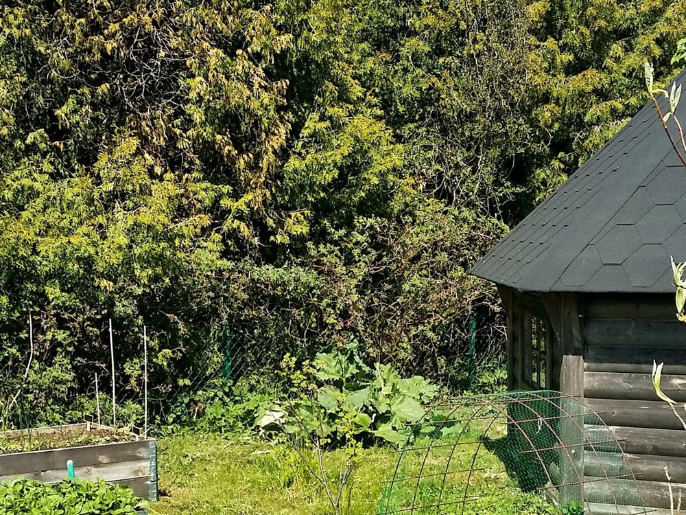 Photo 19
