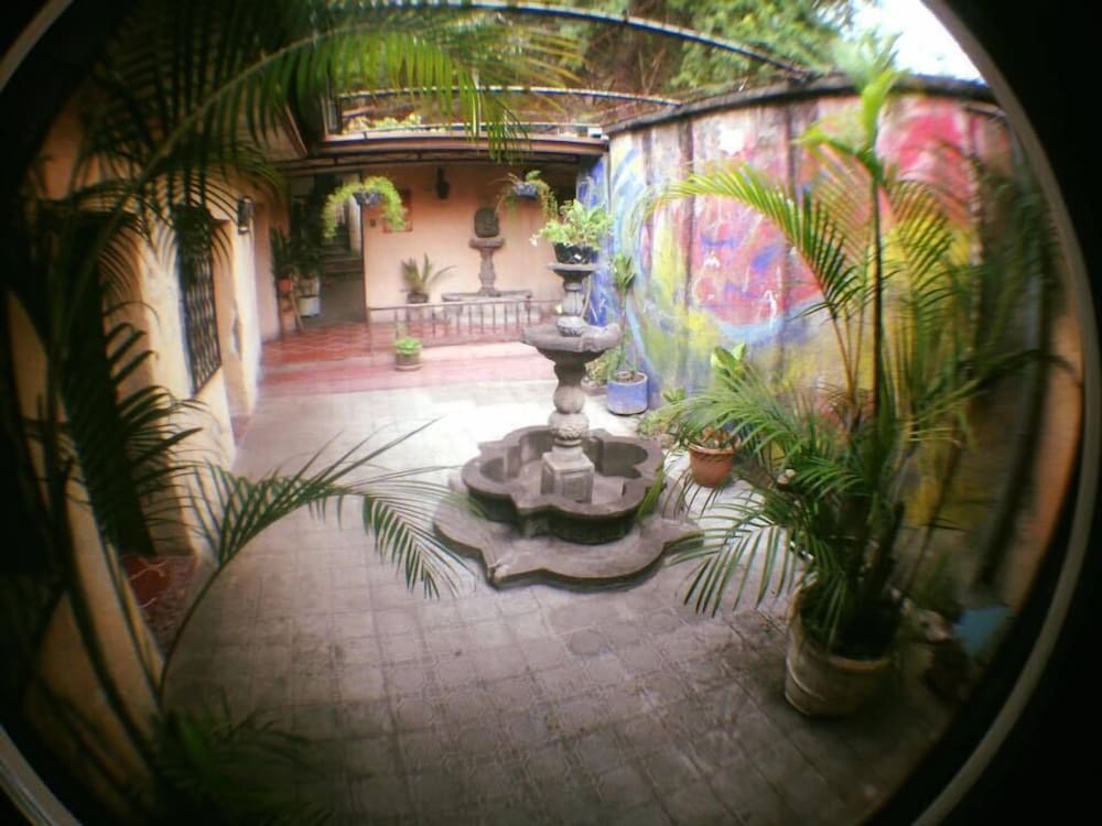 Photo 16