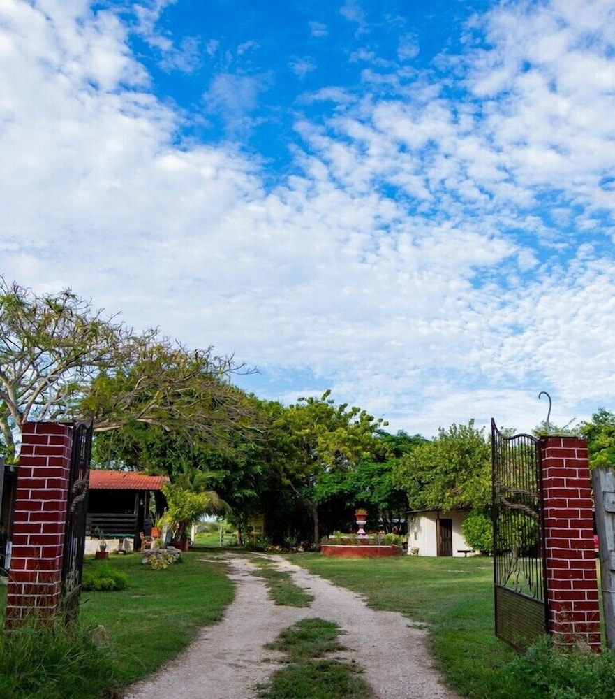 Photo 40