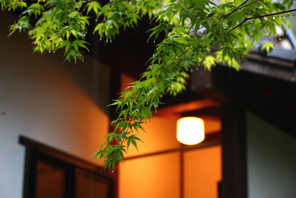 Yamakawa ZENZO