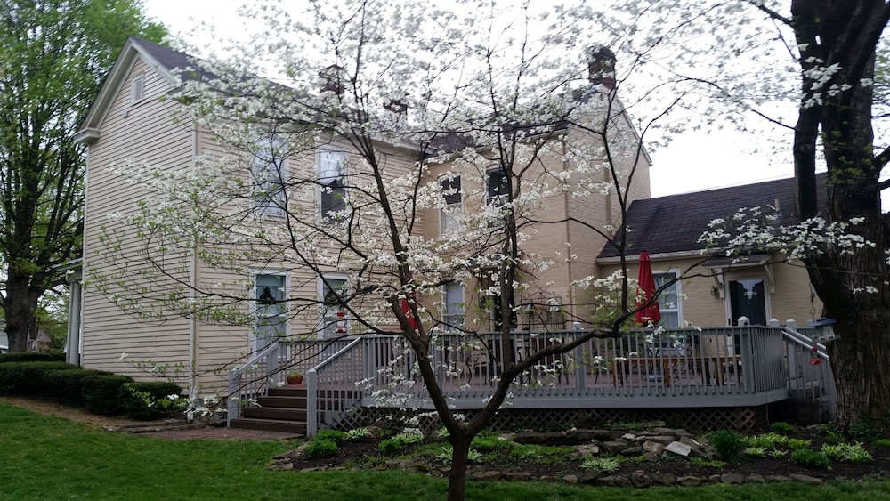 Photo 26
