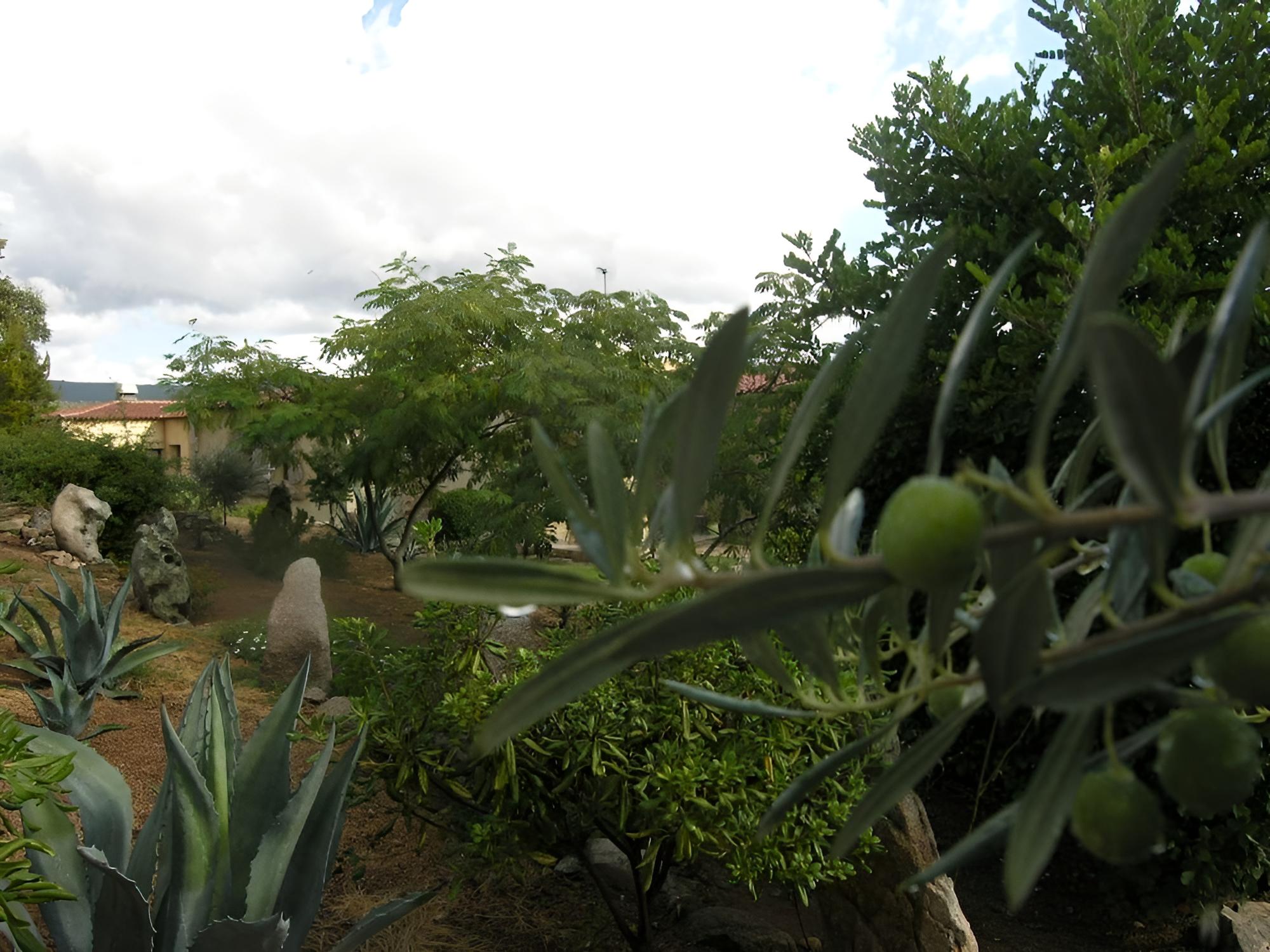 Hotel Funtana Abbas