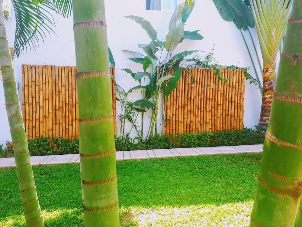 Casa Luz de Luna - Property Image 3