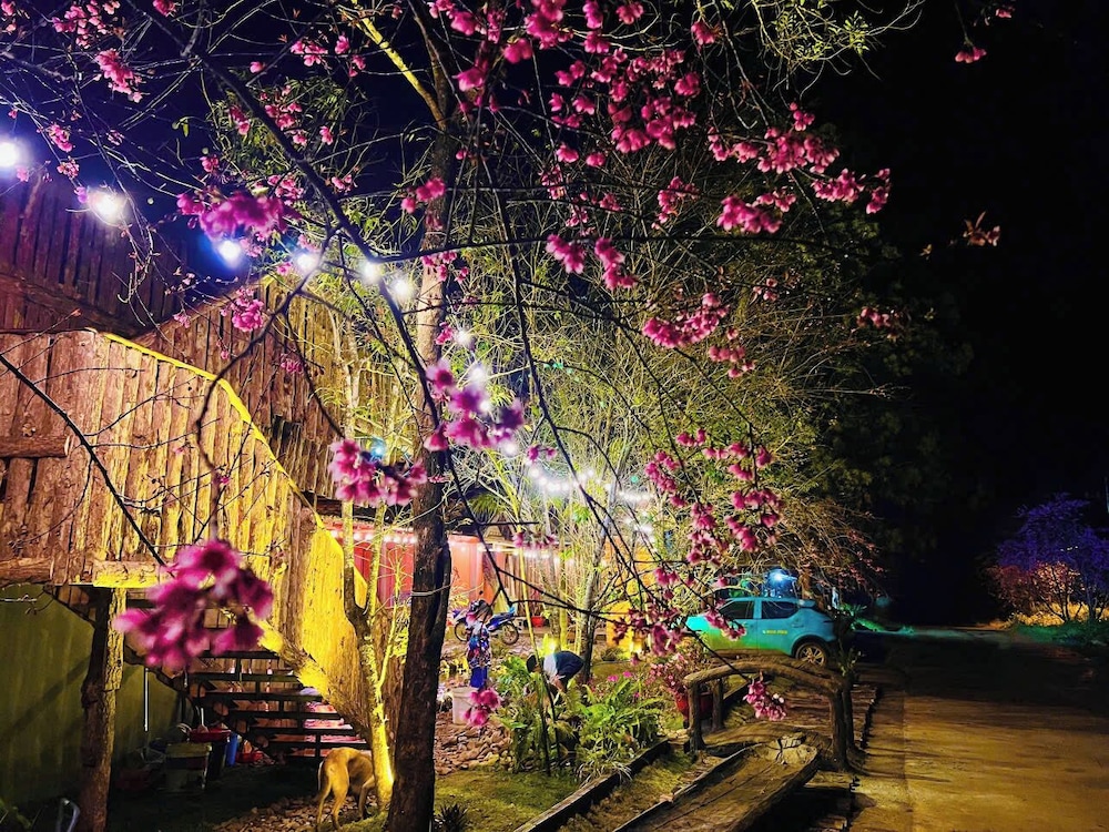 Gió Homestay – Măng Đen