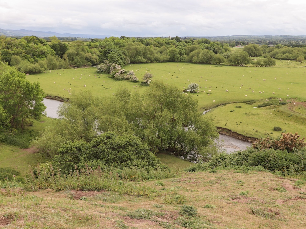 Beeches Bach