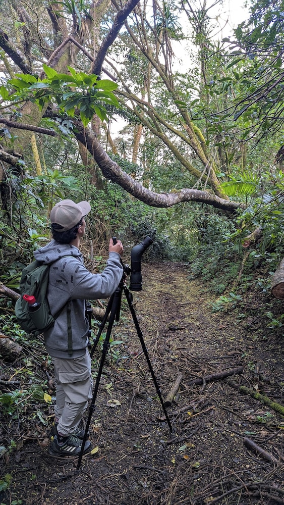 Campos de Oro Wilderness Lodge