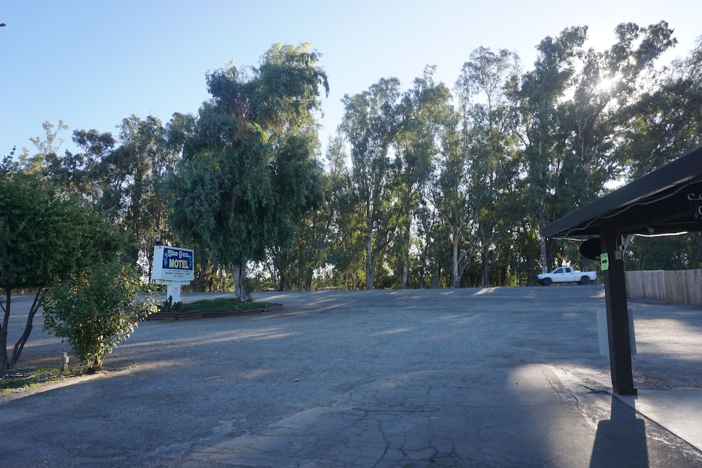 Willows Vacations - Blue Gum Motel - Property Image 11