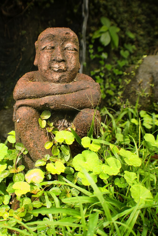 Photo 42