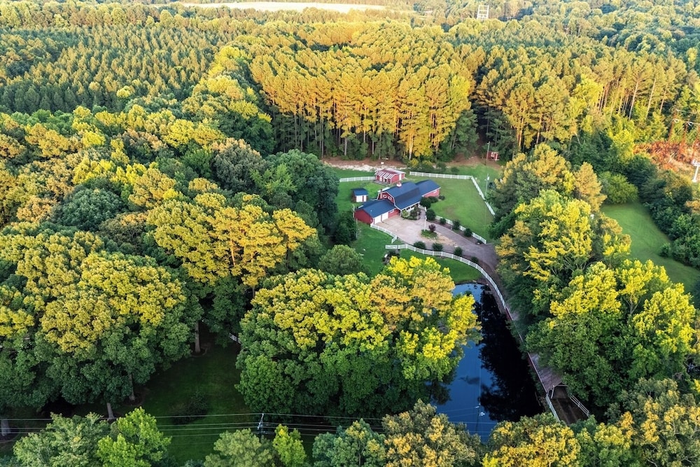 Pet-friendly 3BR Lake House Firepit & Pier