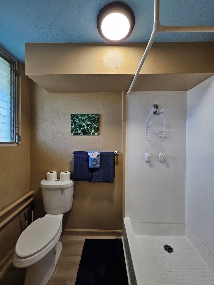 Plumeria Hilo Hotel