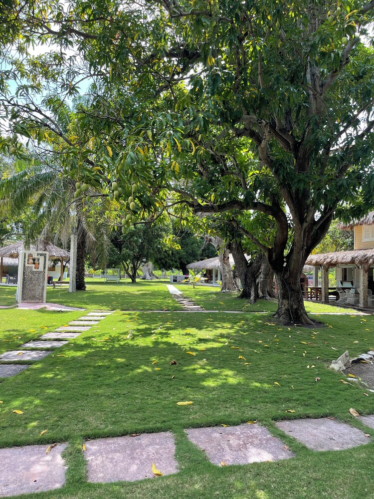Nizao Beach Lodge
