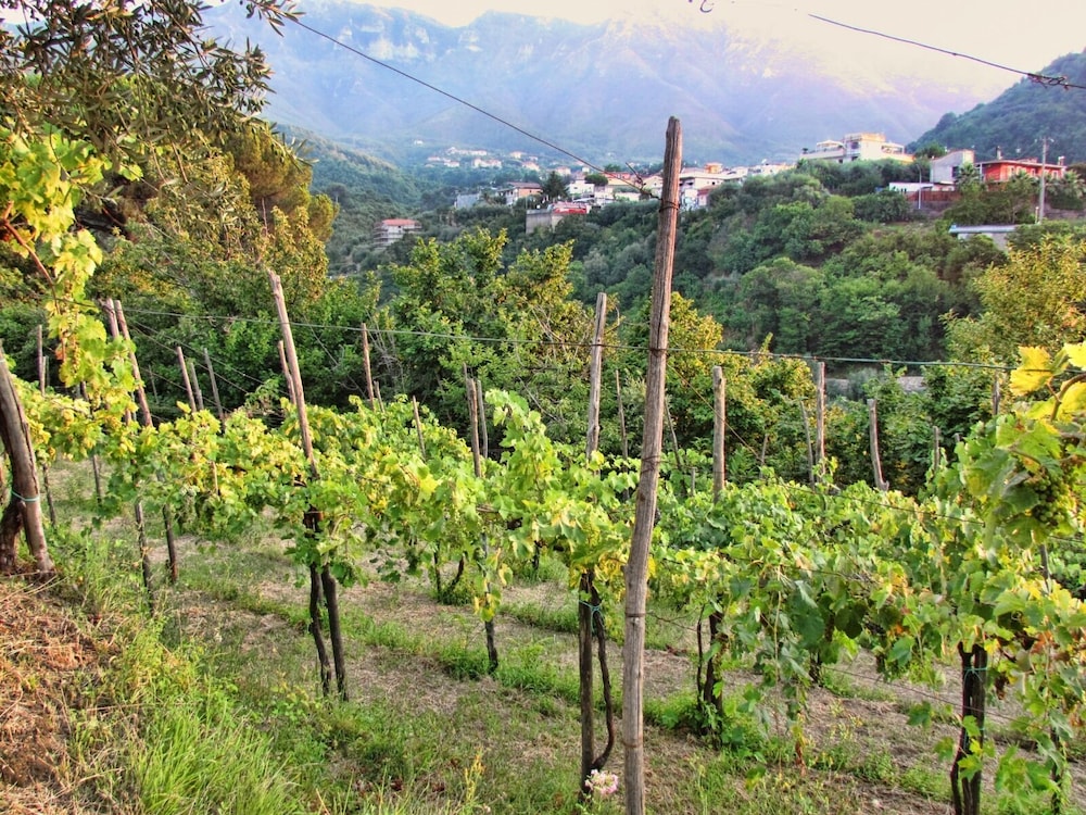 Casa Scola Agriturismo