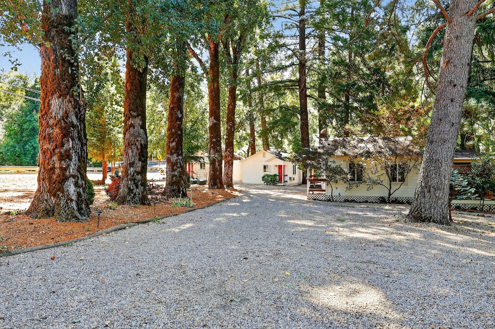 Rouge Cobb Mountain Hotel - Cabin 1