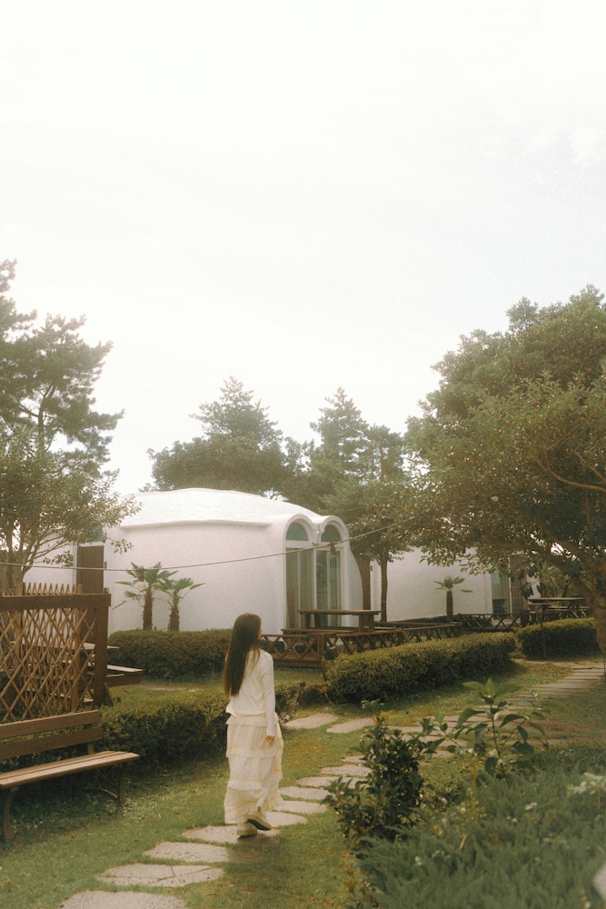 jeju domgrami