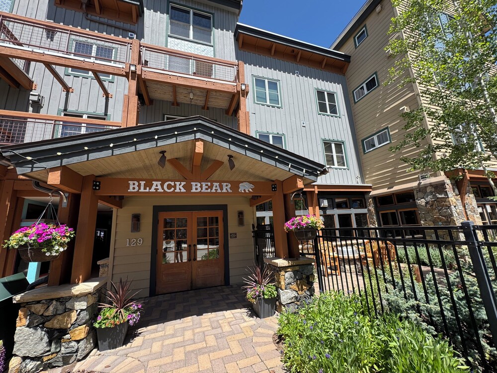 Black Bear 8040