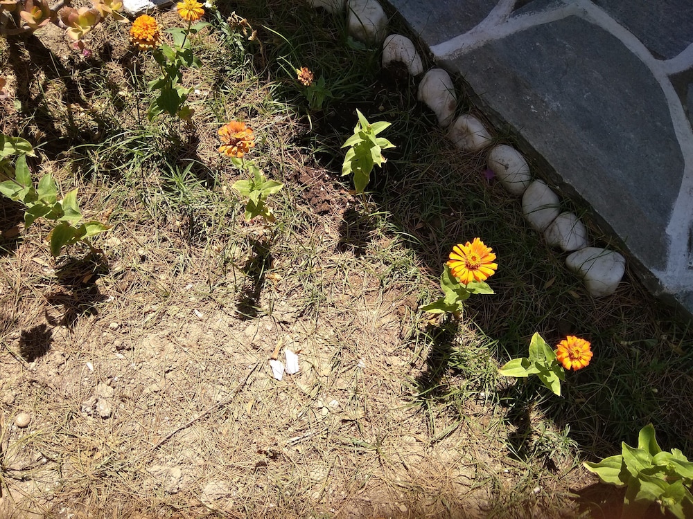 Photo 22