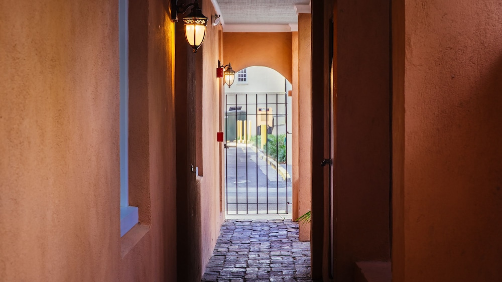 Photo 40