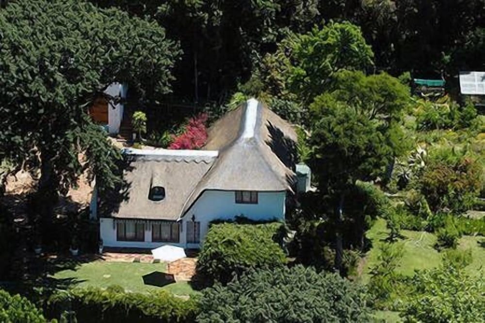 Constantia Woods