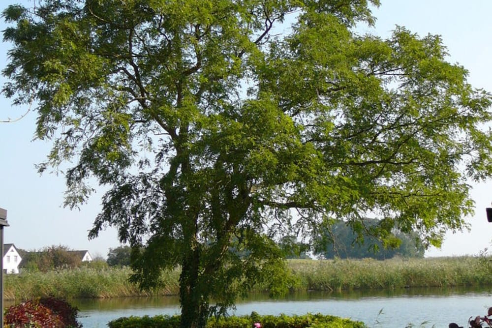 Spacious Appartment in Wilhelmshof Near Lake