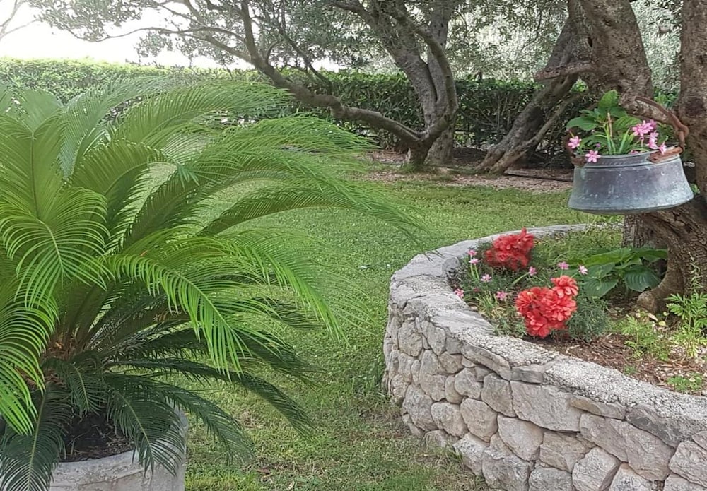 Photo 11