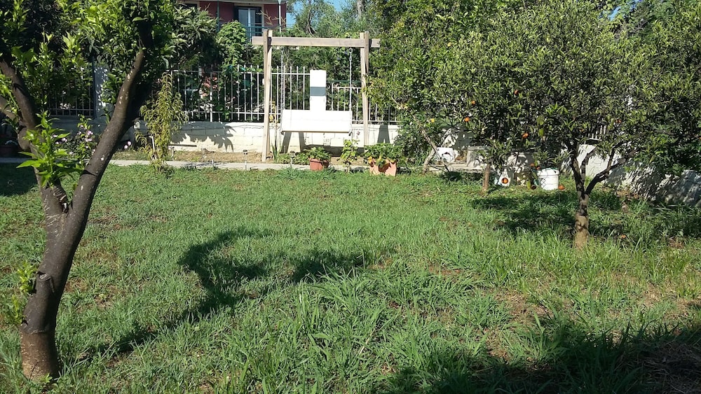 Photo 23