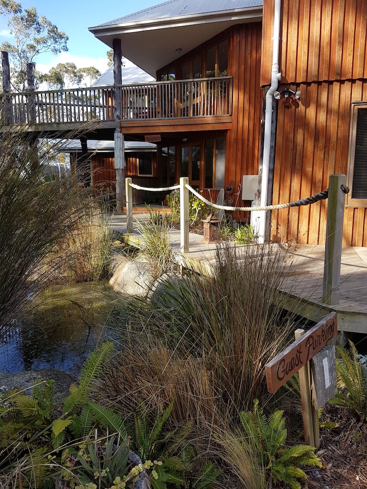 Bed in the Treetops Bed & Breakfast