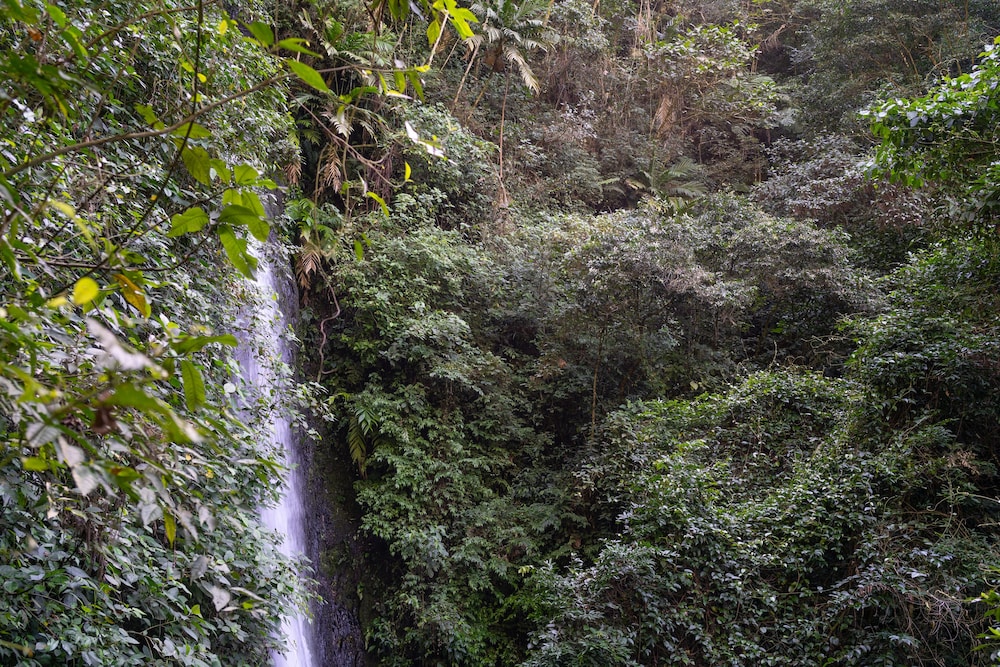 Casa de campo Los Yungas