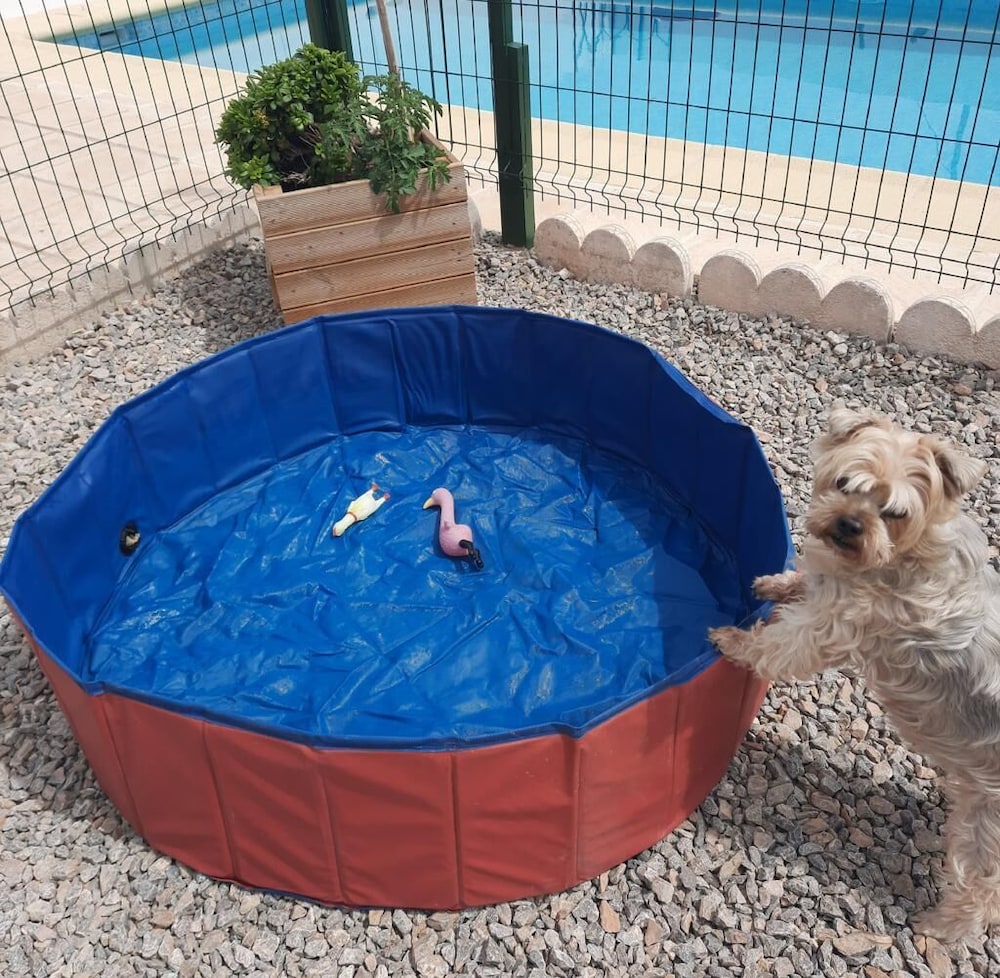 Lorca- Cottage - Sleeps 4 - pet Friendly - Pool