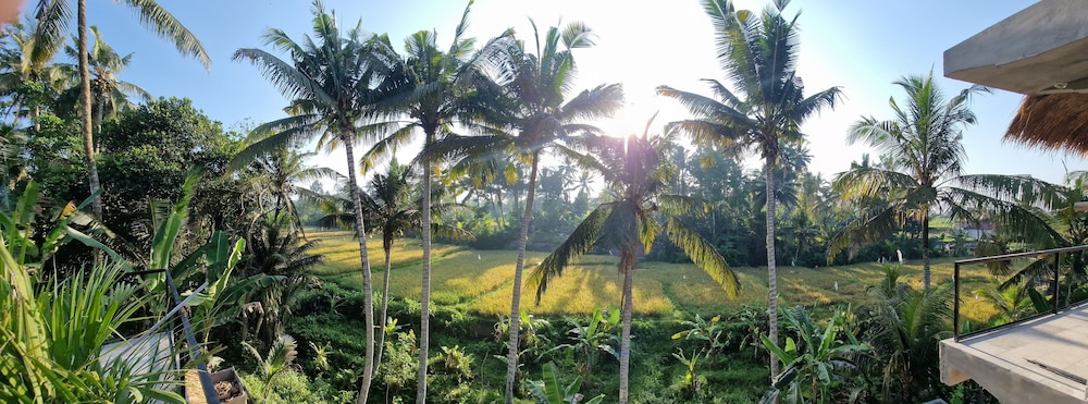 Bali View Ubud