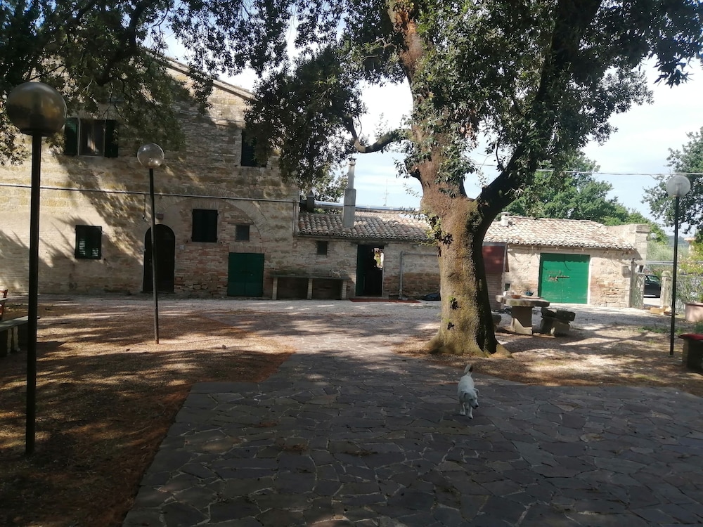 Photo 17