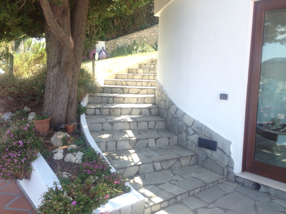 Photo 33