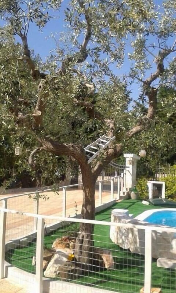 Villa Nonna Maria