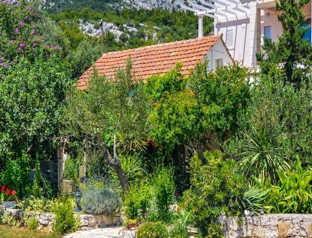 Rosa - 30m From Beach - A1 view 5