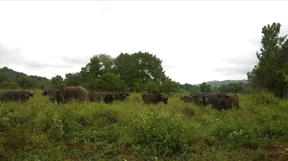Kwale Golden Guest House, photo 31