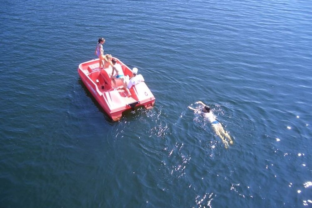 Photo 46