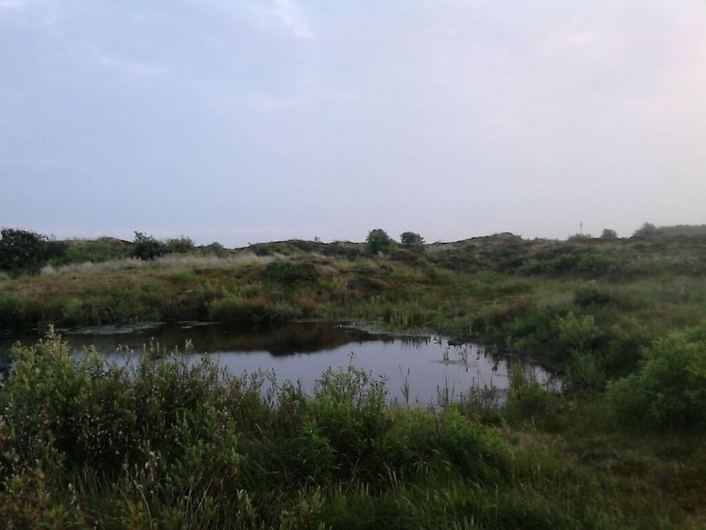 Lagoon on the Wadden See on Wangerooge view 5