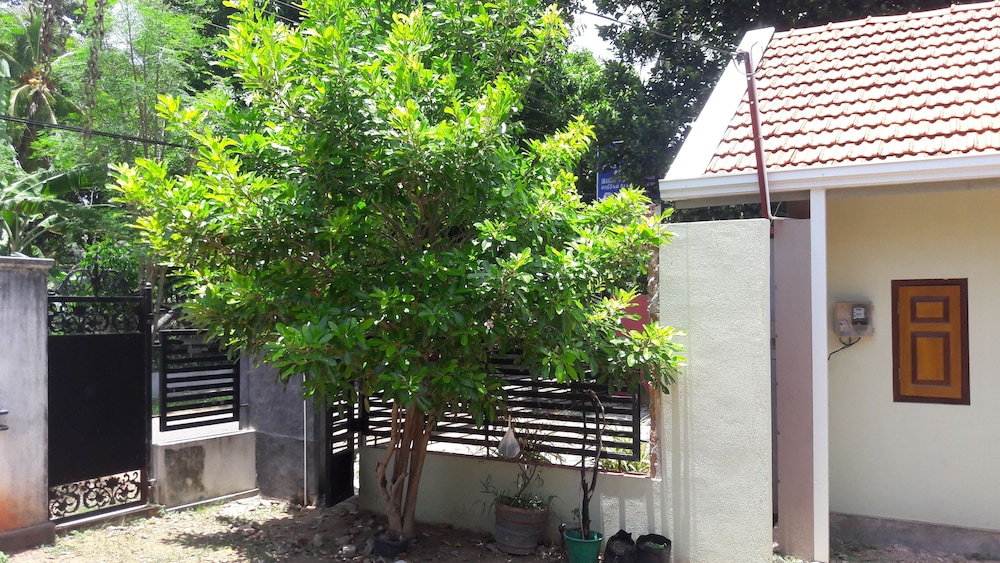 Roo Neeroga view 2