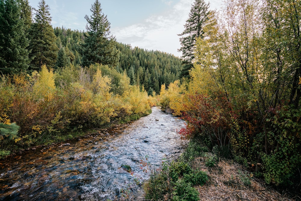 Moose Creek Ranch
