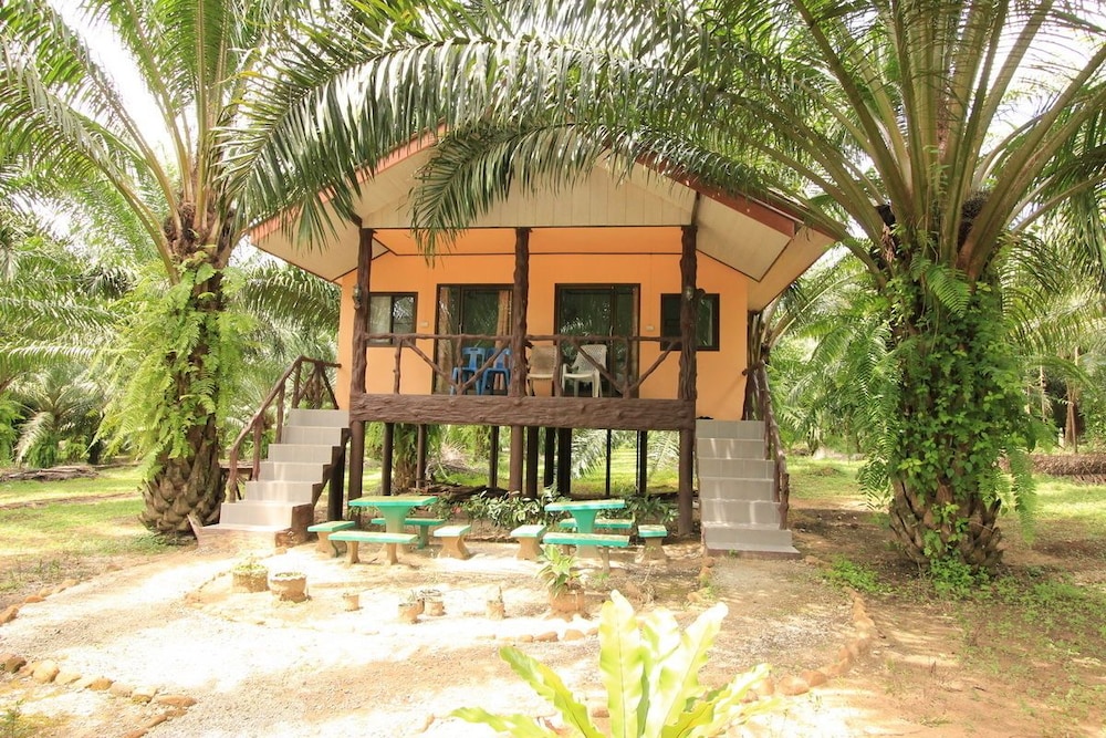 Khaosok Palmview