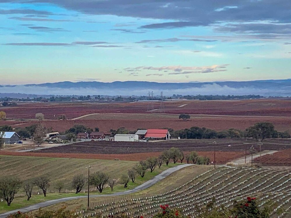 Hidden Acre Vineyard Estate