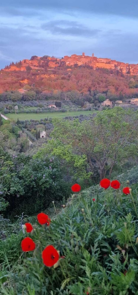 Stelle di Monte