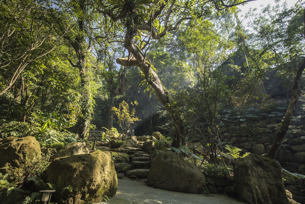 The Great Roots Forestry SPA Resort