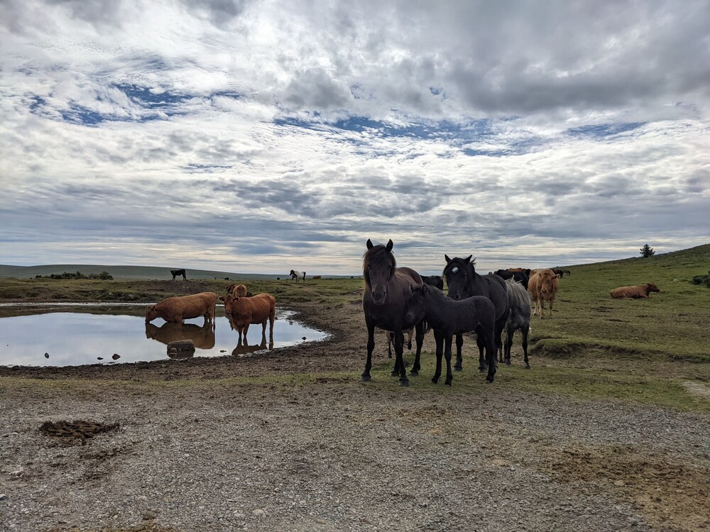 Yelverton Vacations - Railway Ramblers' Rest - Property Image 1